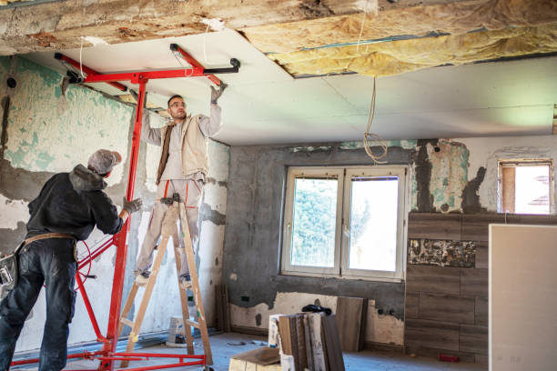 Best Insulation Replacement Services  in Radford, VA