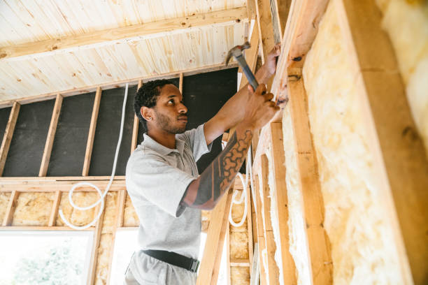 Best Attic Insulation Installation  in Radford, VA