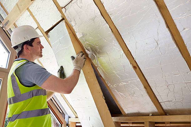 Best Attic Insulation Near Me  in Radford, VA
